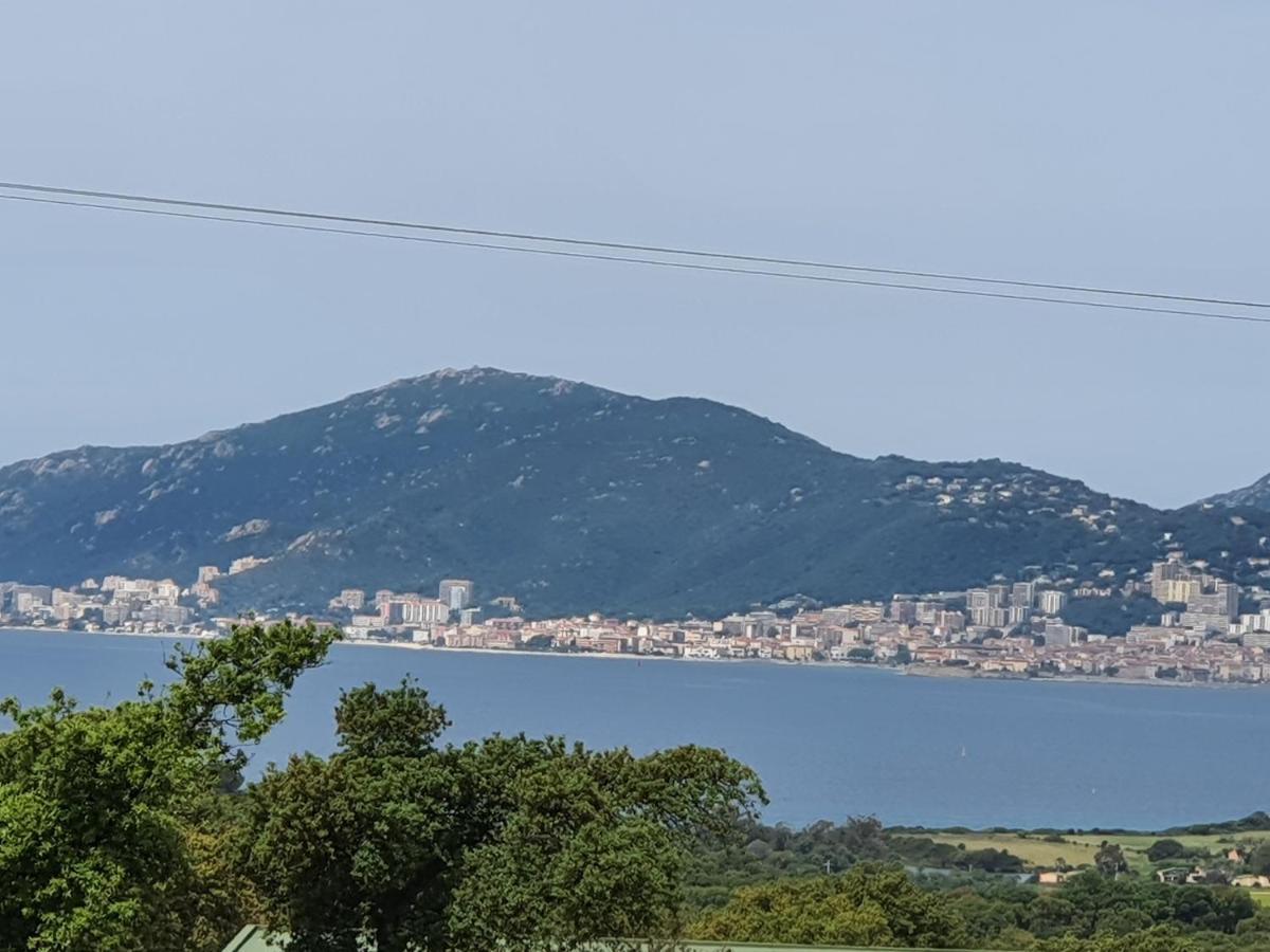 Appartement F2 Avec Terrasse De 35 M2 Bomorto - Porticcio Porticcio  Dış mekan fotoğraf