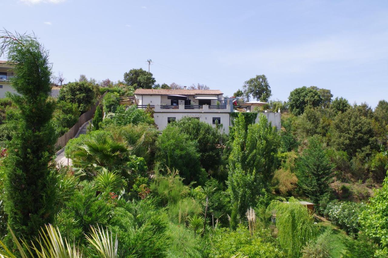 Appartement F2 Avec Terrasse De 35 M2 Bomorto - Porticcio Porticcio  Dış mekan fotoğraf