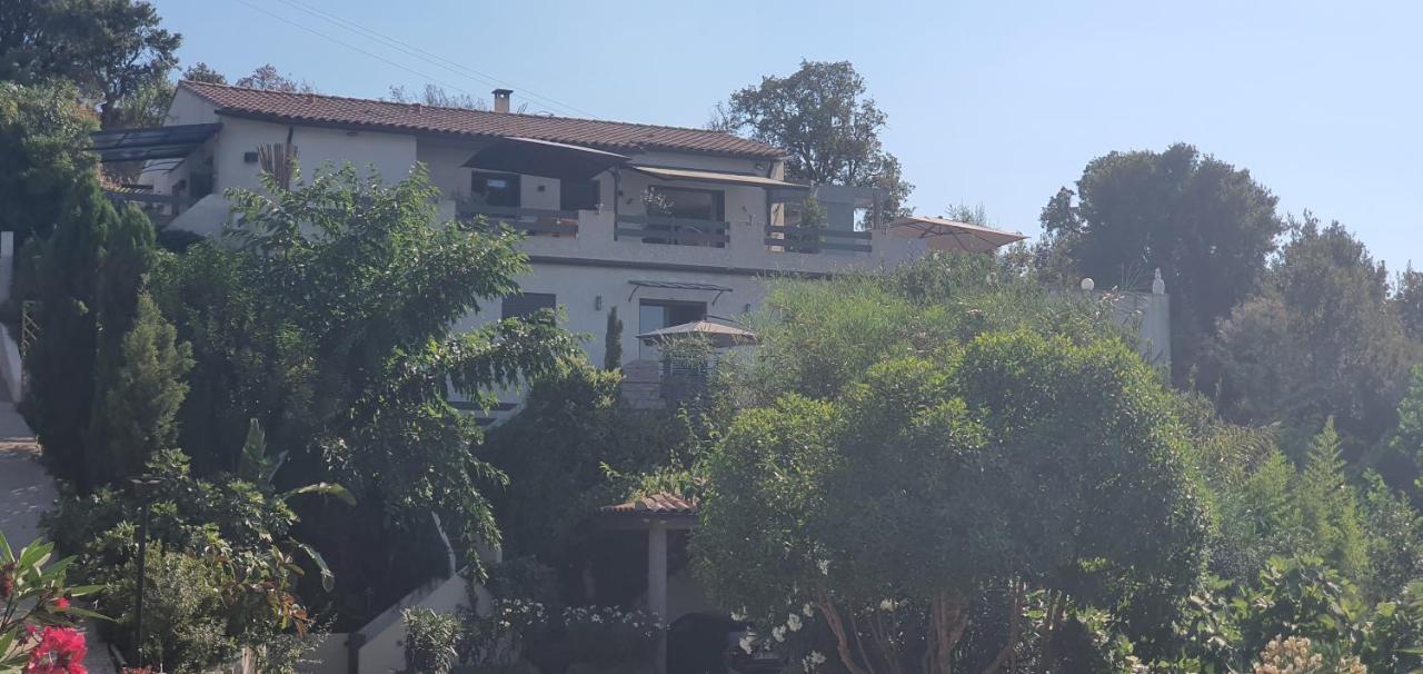 Appartement F2 Avec Terrasse De 35 M2 Bomorto - Porticcio Porticcio  Dış mekan fotoğraf